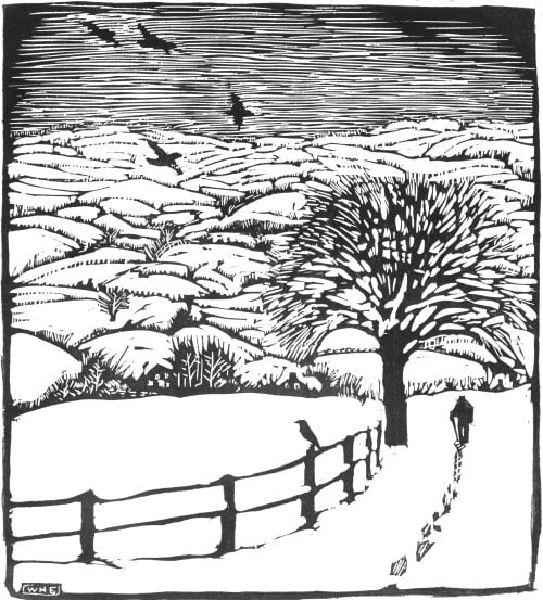 black and white woodcut shows a person walking away in the snow. there is a tree with bare branches and a fence. one bird sits on the fence and others are in flight.