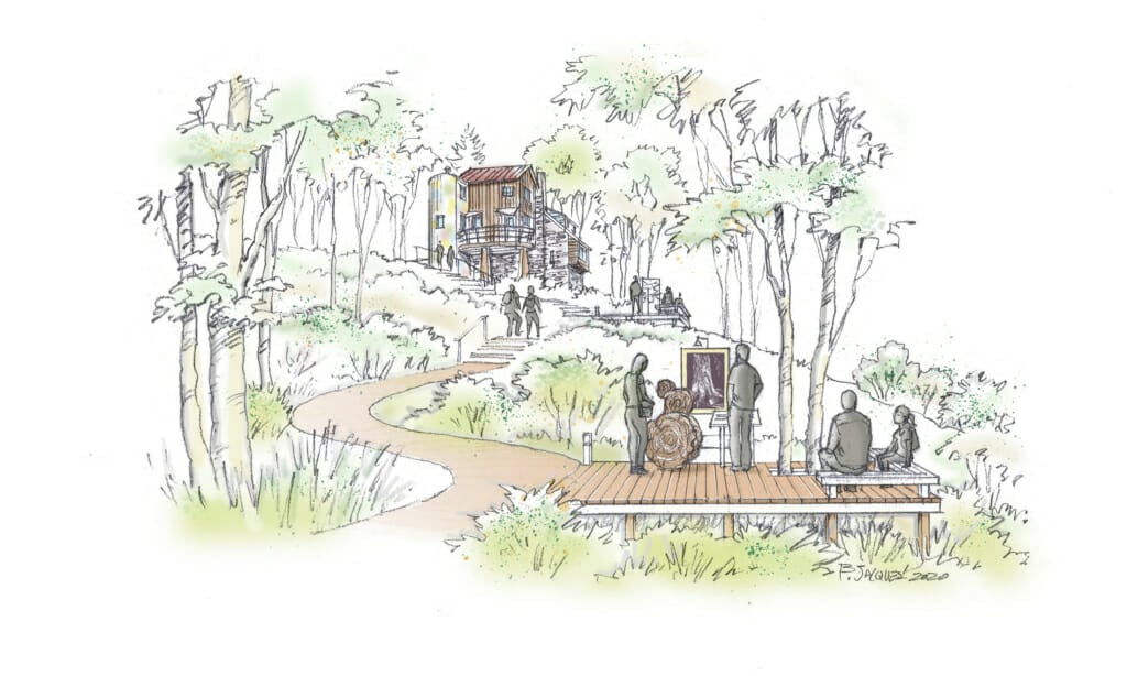 drawing of path through woods leading up to the studio