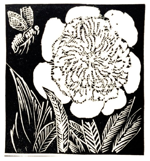 Woodcut print of a peony flower and a bee