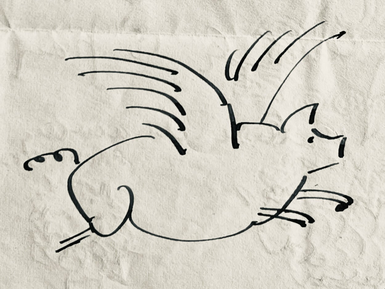 Esherick sketch of flying pig